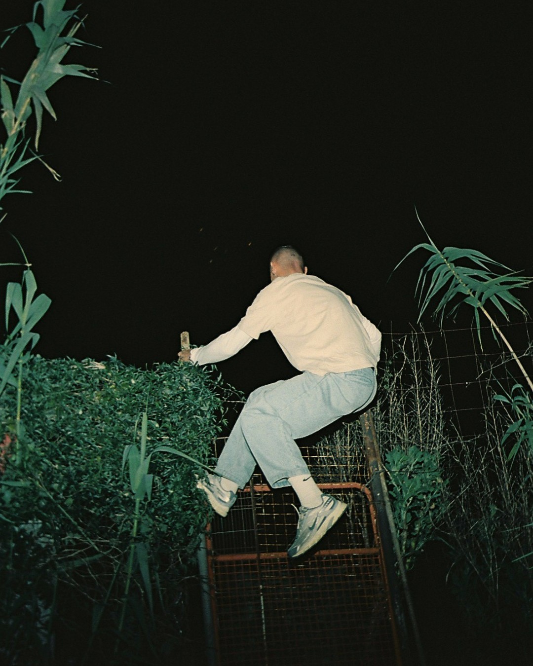 Andrey